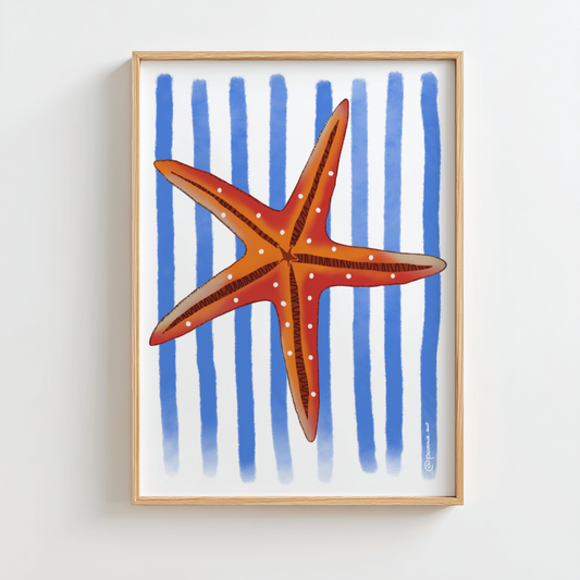 Illustration Pommie représentant une étoile de mer sur un fond à rayures bleues.